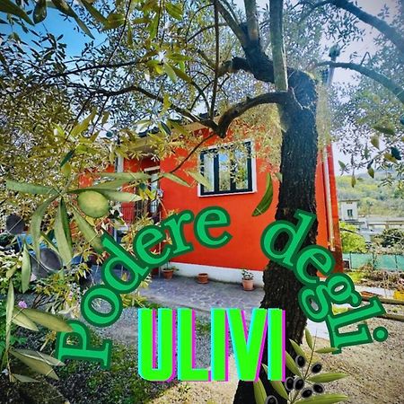 Podere Degli Ulivi Family Villa Serravalle Pistoiese Dış mekan fotoğraf