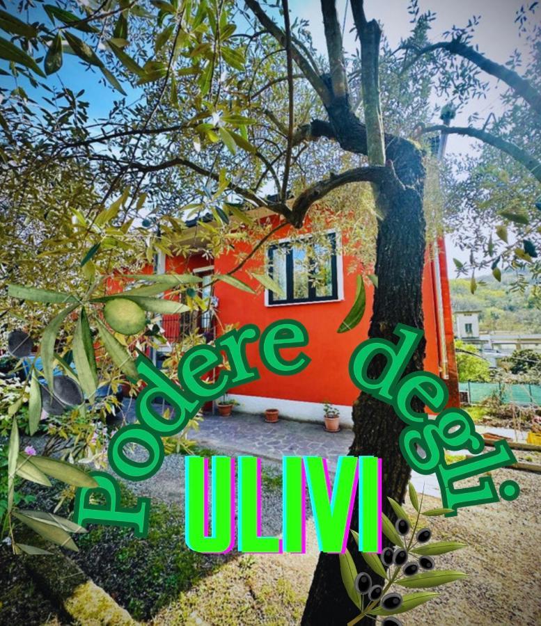 Podere Degli Ulivi Family Villa Serravalle Pistoiese Dış mekan fotoğraf
