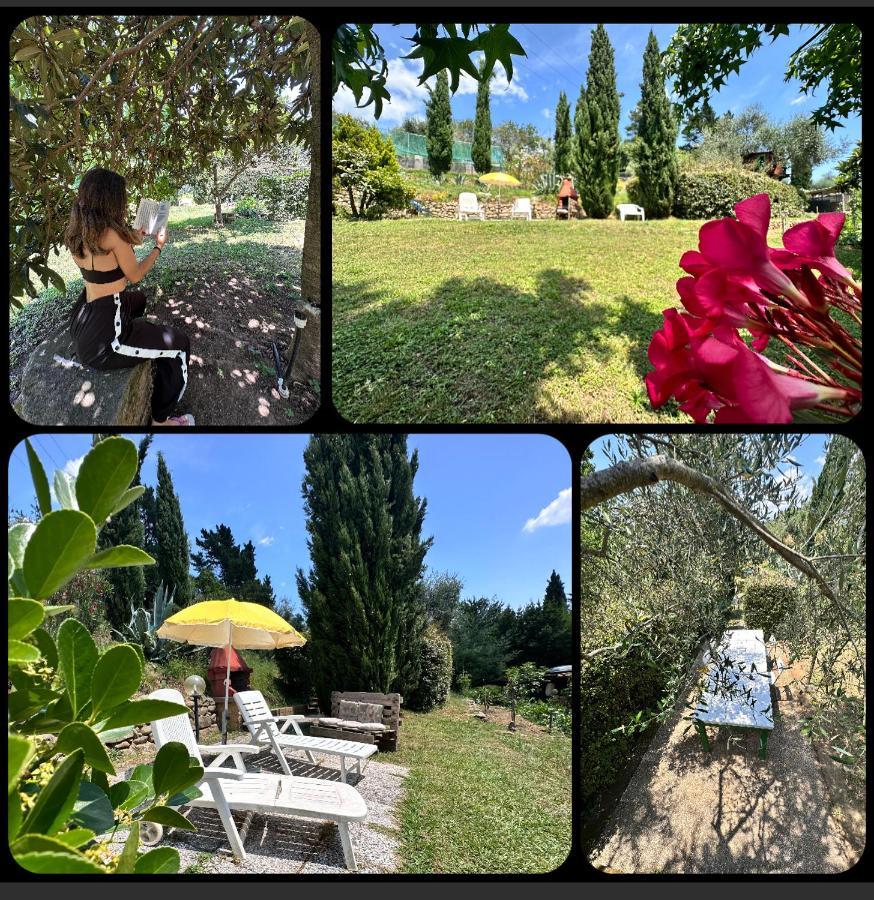 Podere Degli Ulivi Family Villa Serravalle Pistoiese Dış mekan fotoğraf